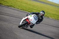 PJ-Motorsport-2019;anglesey-no-limits-trackday;anglesey-photographs;anglesey-trackday-photographs;enduro-digital-images;event-digital-images;eventdigitalimages;no-limits-trackdays;peter-wileman-photography;racing-digital-images;trac-mon;trackday-digital-images;trackday-photos;ty-croes
